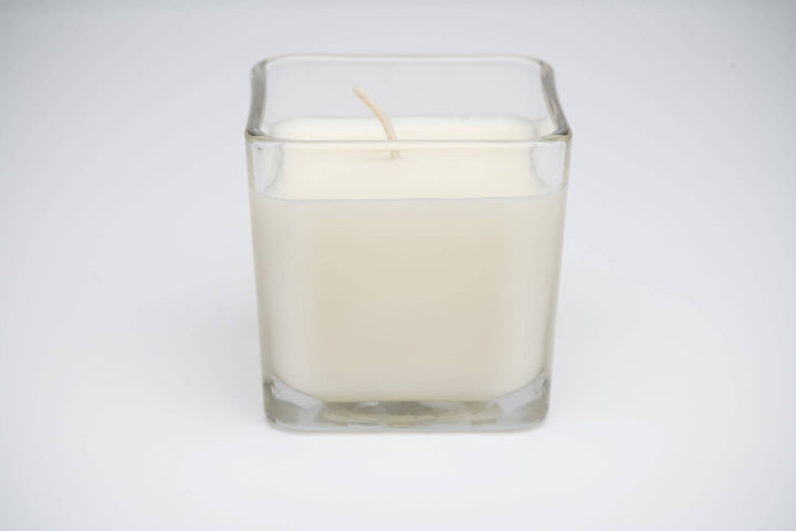 Holiday Spiced Pomegranate: 2 - in - 1 Soy Lotion Candle - Lolo Viv Boutique